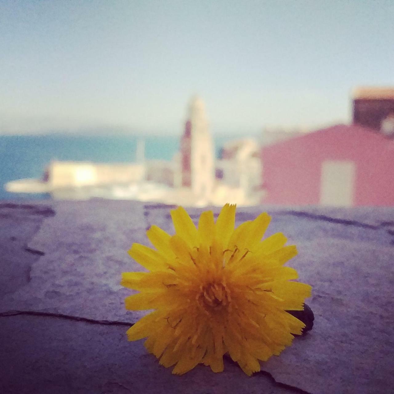 Il Vecchio E Il Mare Gaeta Exterior foto
